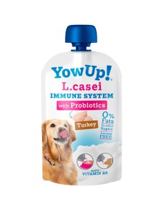 L.Casei, Probióticos perros