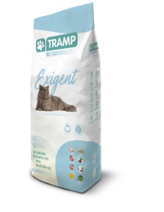 Tramp Fly Exigent